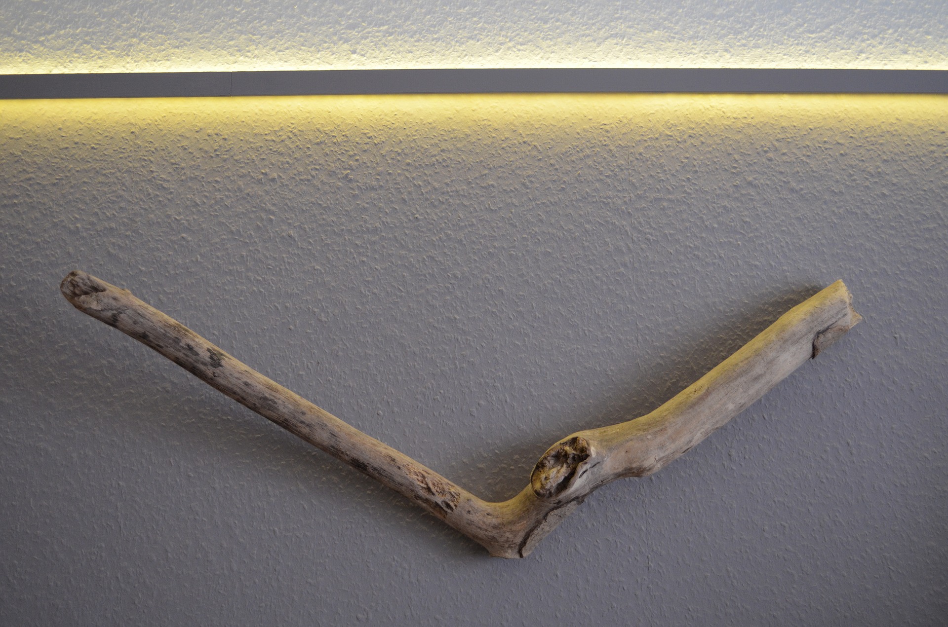 drift-wood-2115380_1920