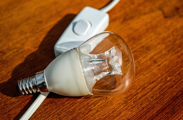 zdroj elektrickej energie